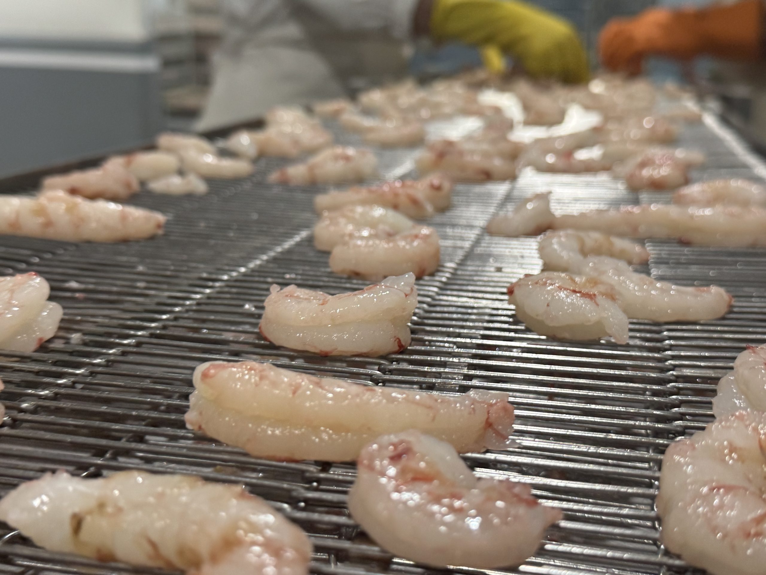 Chubut reclama el fin de las retenciones al sector pesquero