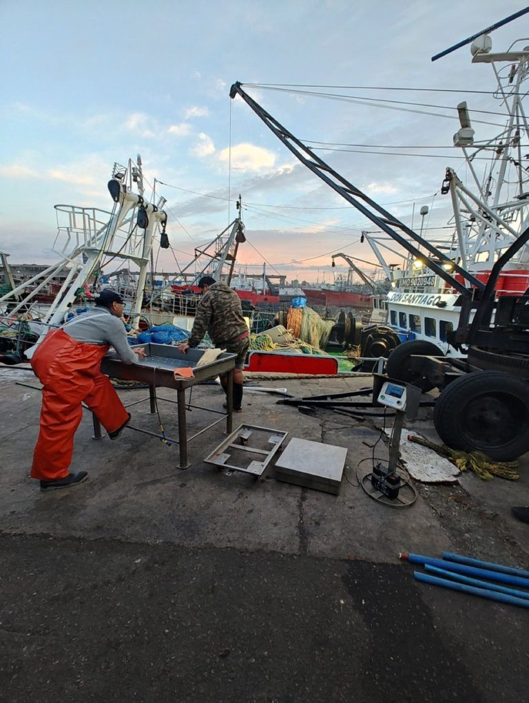 Gremios mar铆timos solicitan acceso a informaci贸n sobre capturas de buques de la flota fresquera de altura