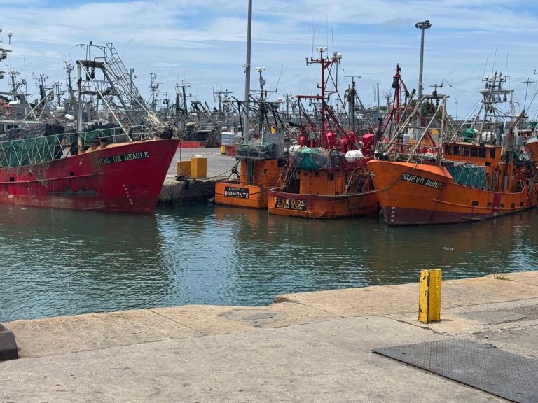 El sector pesquero atraviesa un momento cr铆tico: Informe de consultora muestra el impacto