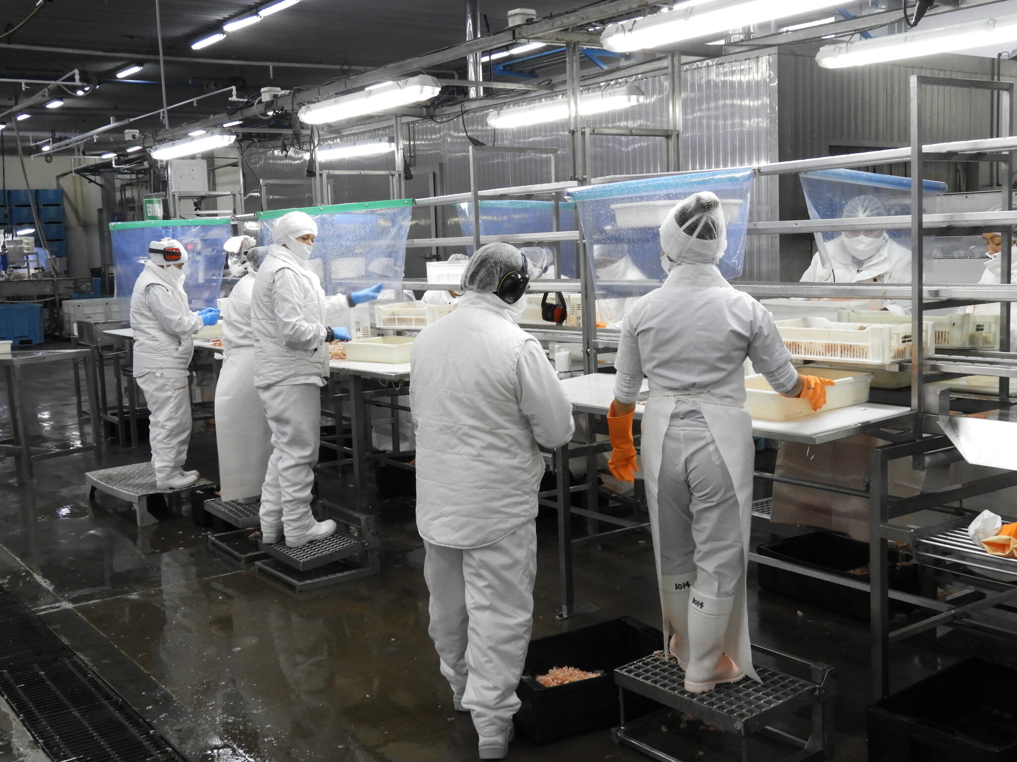 Red Chamber Argentina denuncia arbitrariedad en la rescisi贸n de su contrato y alerta sobre inseguridad jur铆dica en Chubut