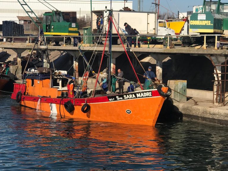 Las lanchas amarillas reviven su historia con capturas de bonito: La Spre.Sara Madre hizo honor a su legado