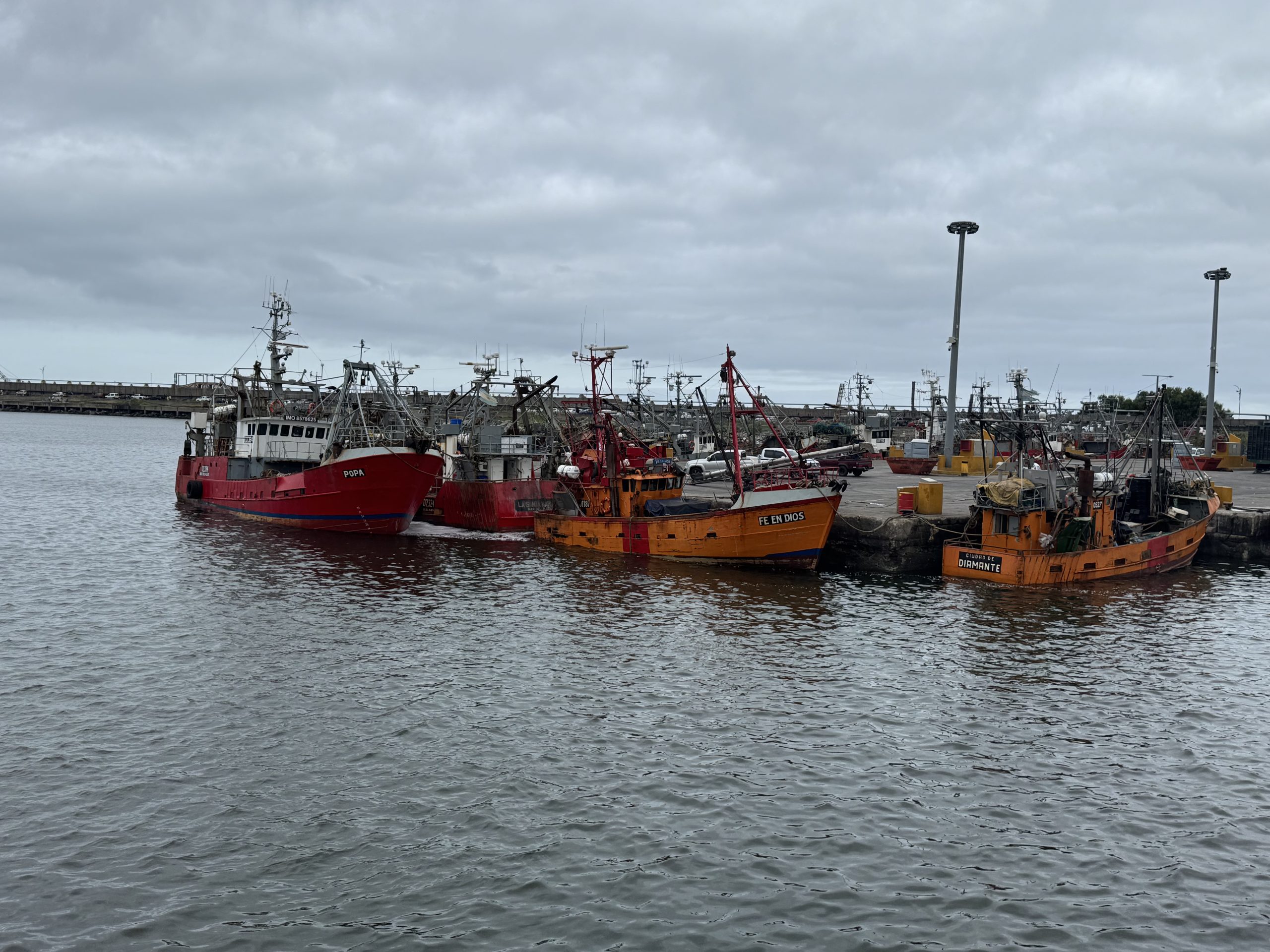 Cámaras pesqueras solicitaron audiencia con el CFP para tratar temas clave del sector