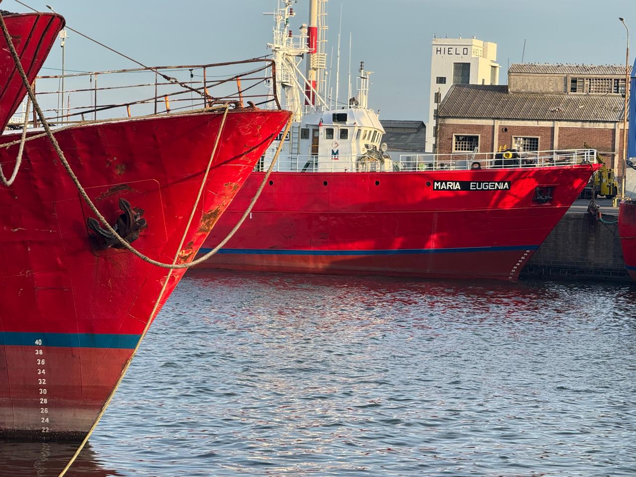 Langostino: La flota de buques tangoneros congeladores paralizada. Asamblea extraordinaria del SOMU y futuro incierto