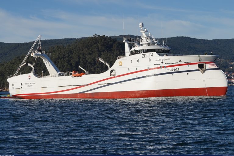 Calamar en Islas Malvinas: Inicia la temporada con panorama incierto