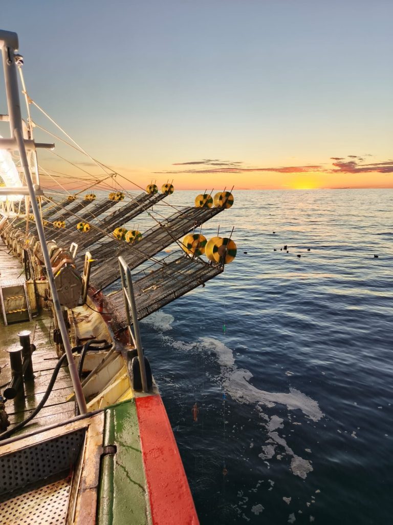 Análisis y perspectivas de la pesquerÃa de Calamar Illex: Evaluaciones y decisiones estratégicas