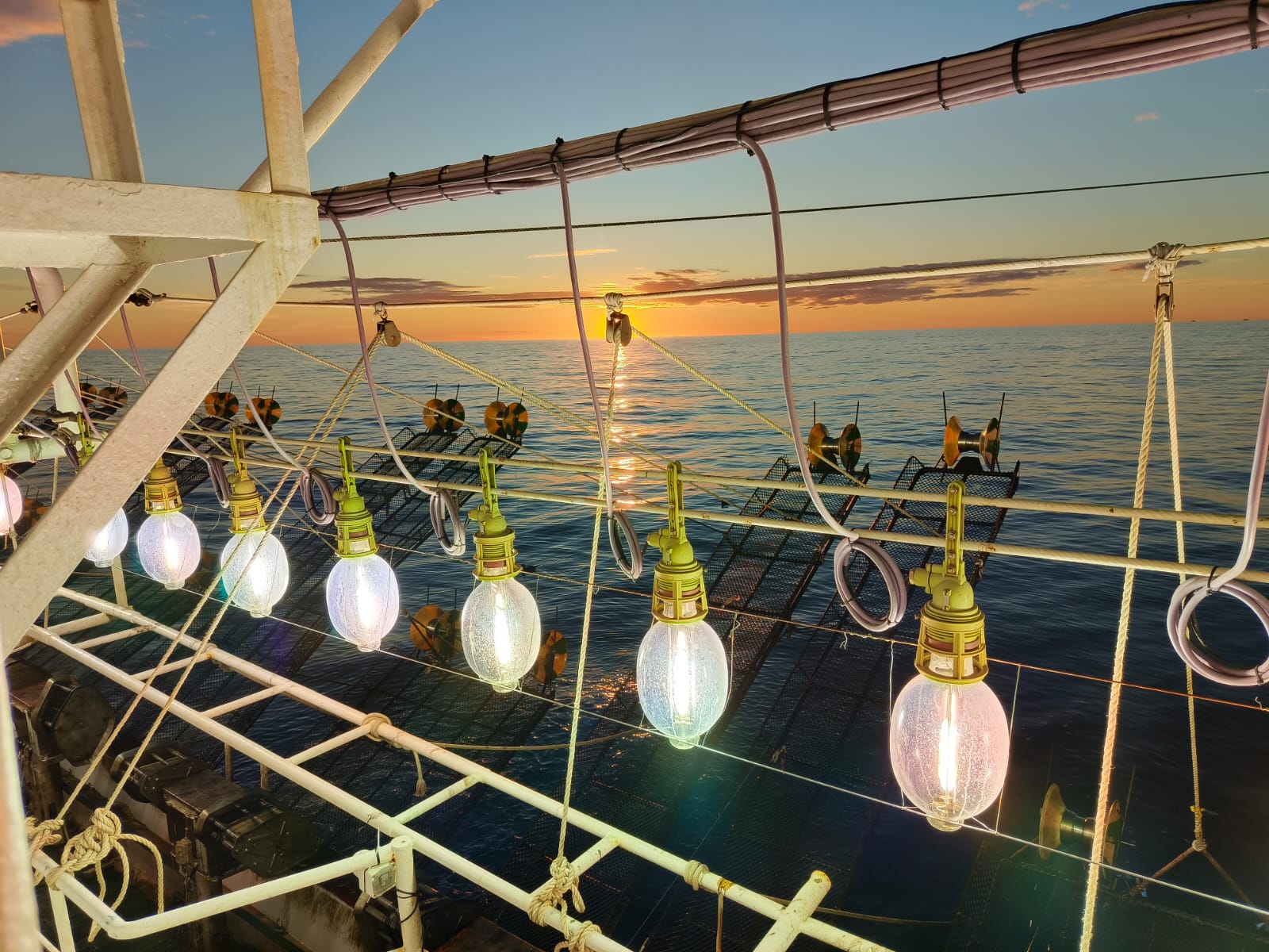 Consejo Federal Pesquero. Sesión semanal, Acta Nro. 6/2025. Presentación de nuevos Recursos de Reconsideración sobre actualización de DUE