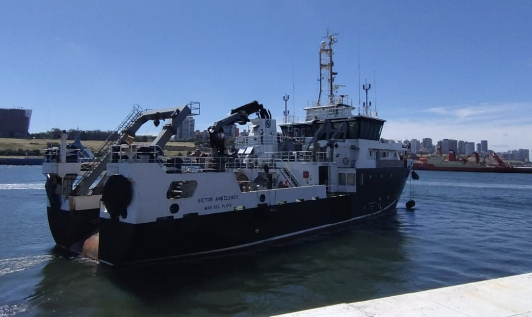 El BIP Víctor Angelescu evalúa reclutas del stock bonaerense-norpatagónico del calamar illex argentinus