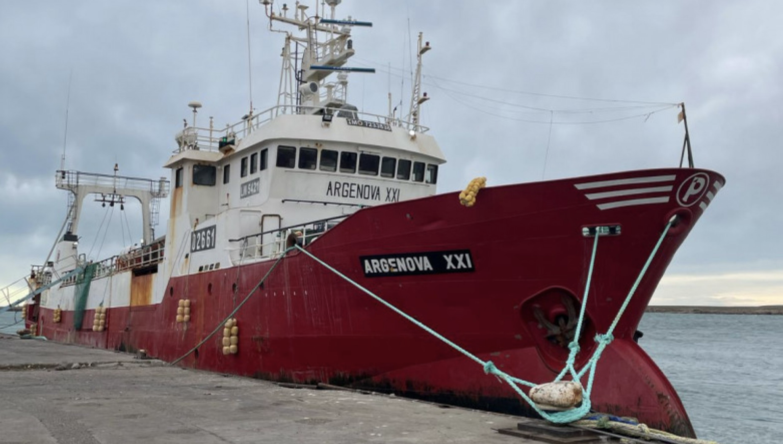 Realizan estudios a bordo para mejorar la calidad de la merluza negra