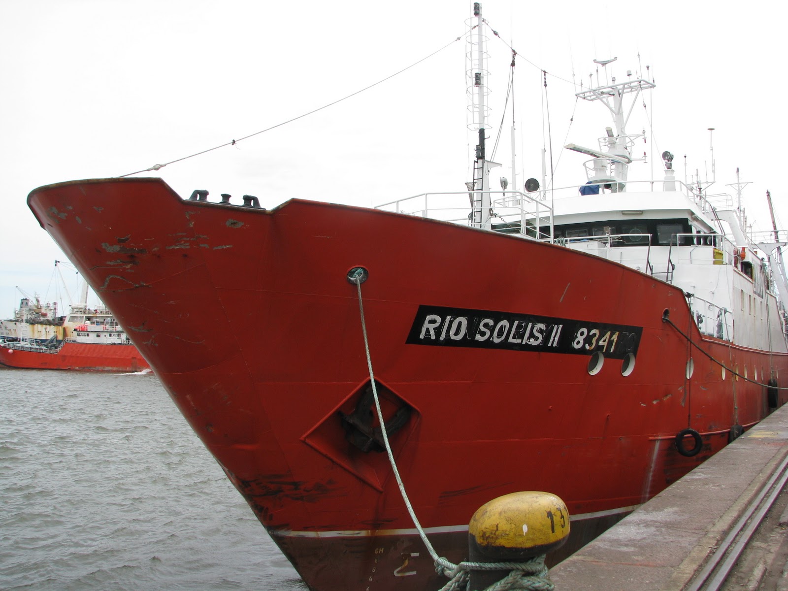 Resoluci贸n CTMFM Nro.3/2025. Establecen apertura para calamar en la Zona Com煤n de Pesca