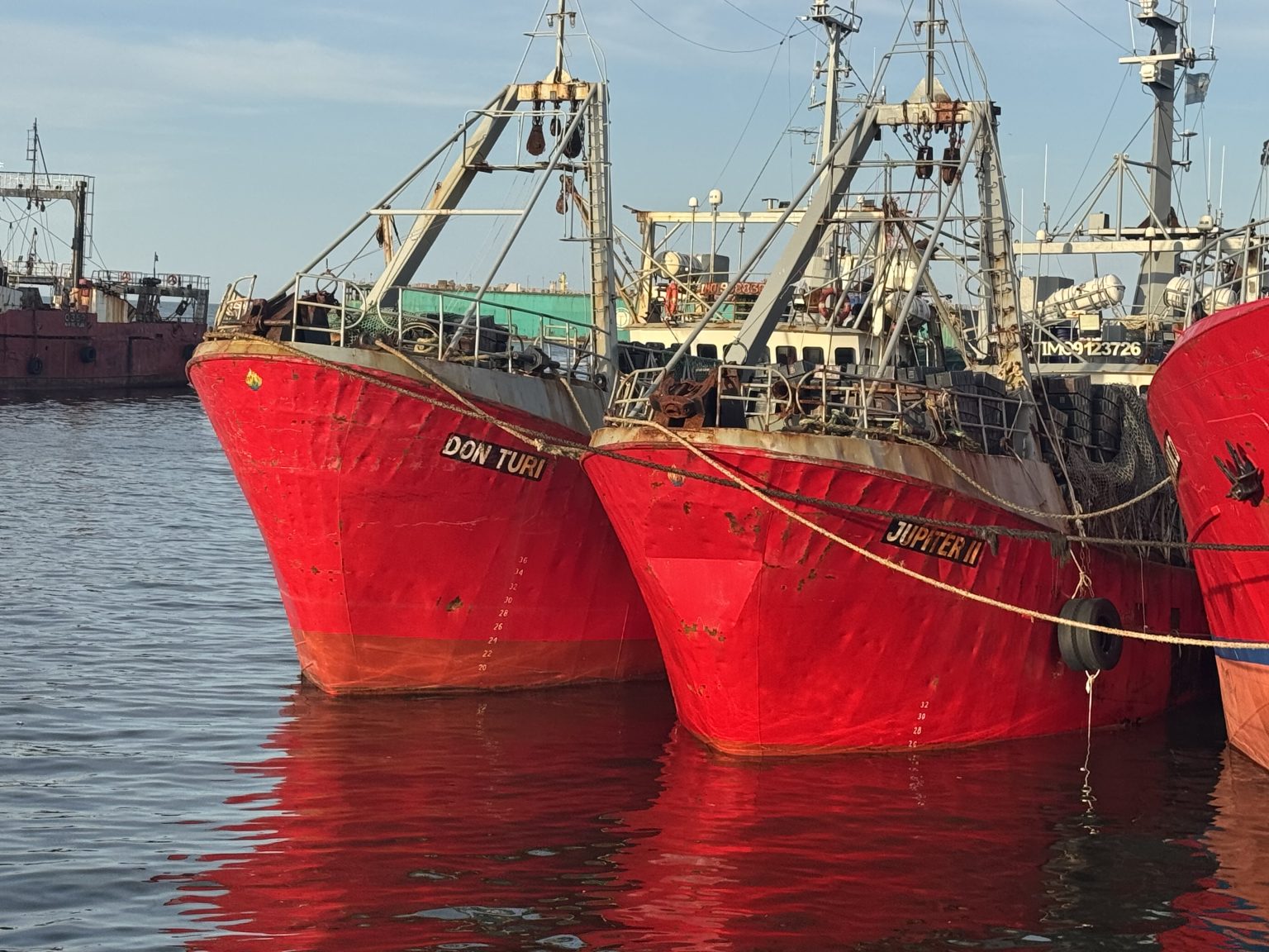 Fresqueros anticiparon que no salen a pescar langostino en aguas nacionales