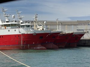 Intercámaras informa pérdidas millonarias y exigen medidas urgentes