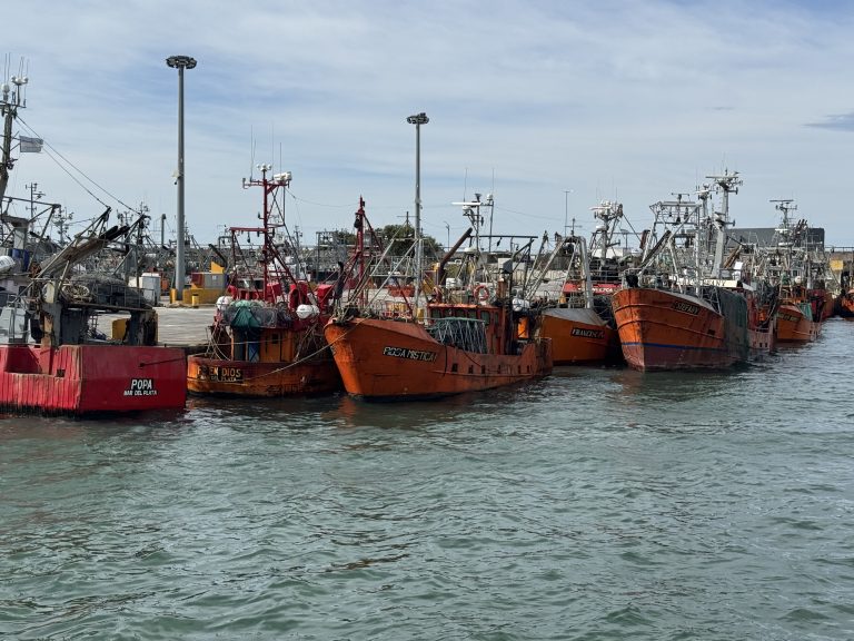 Consejo Federal Pesquero. Sesi贸n semanal, Acta Nro. 10/2025. Rebaja transitoria en Derecho 脷nico de Extracci贸n para segmento fresquero