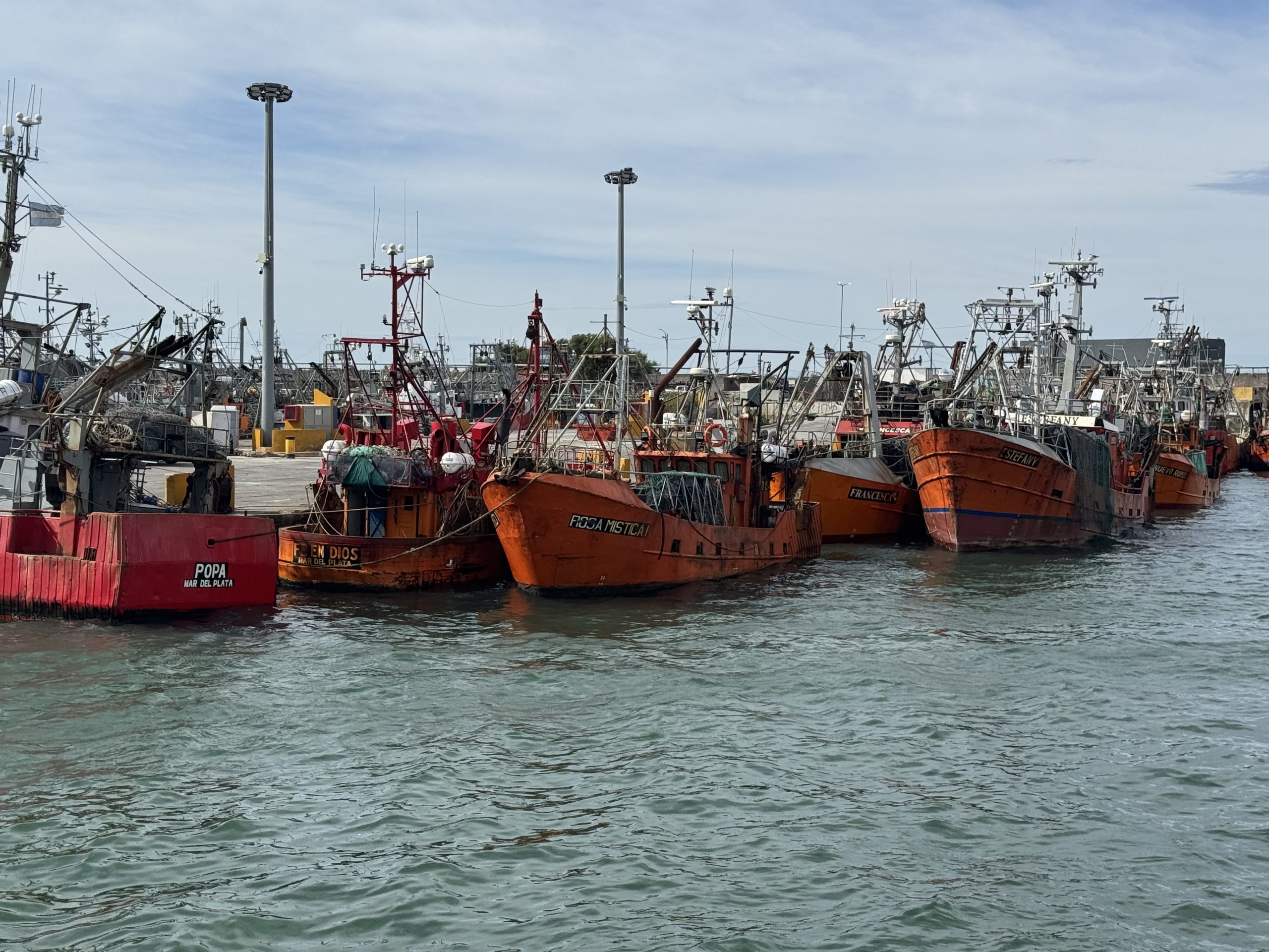 Consejo Federal Pesquero. Sesi贸n semanal, Acta Nro. 10/2025. Rebaja transitoria en Derecho 脷nico de Extracci贸n para segmento fresquero