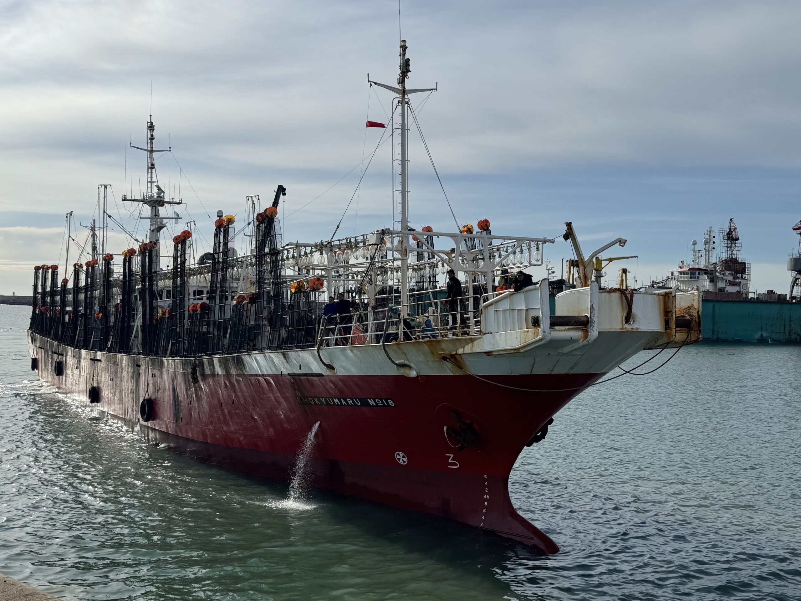 Consejo Federal Pesquero. Sesión semanal, Acta Nro. 12/2025