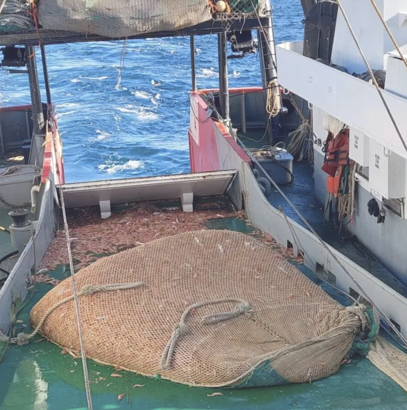 Langostino: Barcelona como escenario clave en medio de tensiones gremiales y desaf铆os comerciales