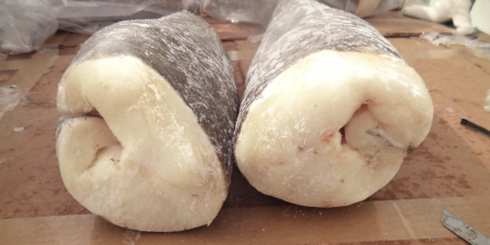 Estados Unidos bloquea importaciones de merluza negra de Georgias del Sur por desacuerdo en l铆mites de captura