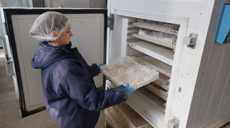 Desarrollan nuevos productos para aprovechar recortes de pac煤 y sumar valor agregado