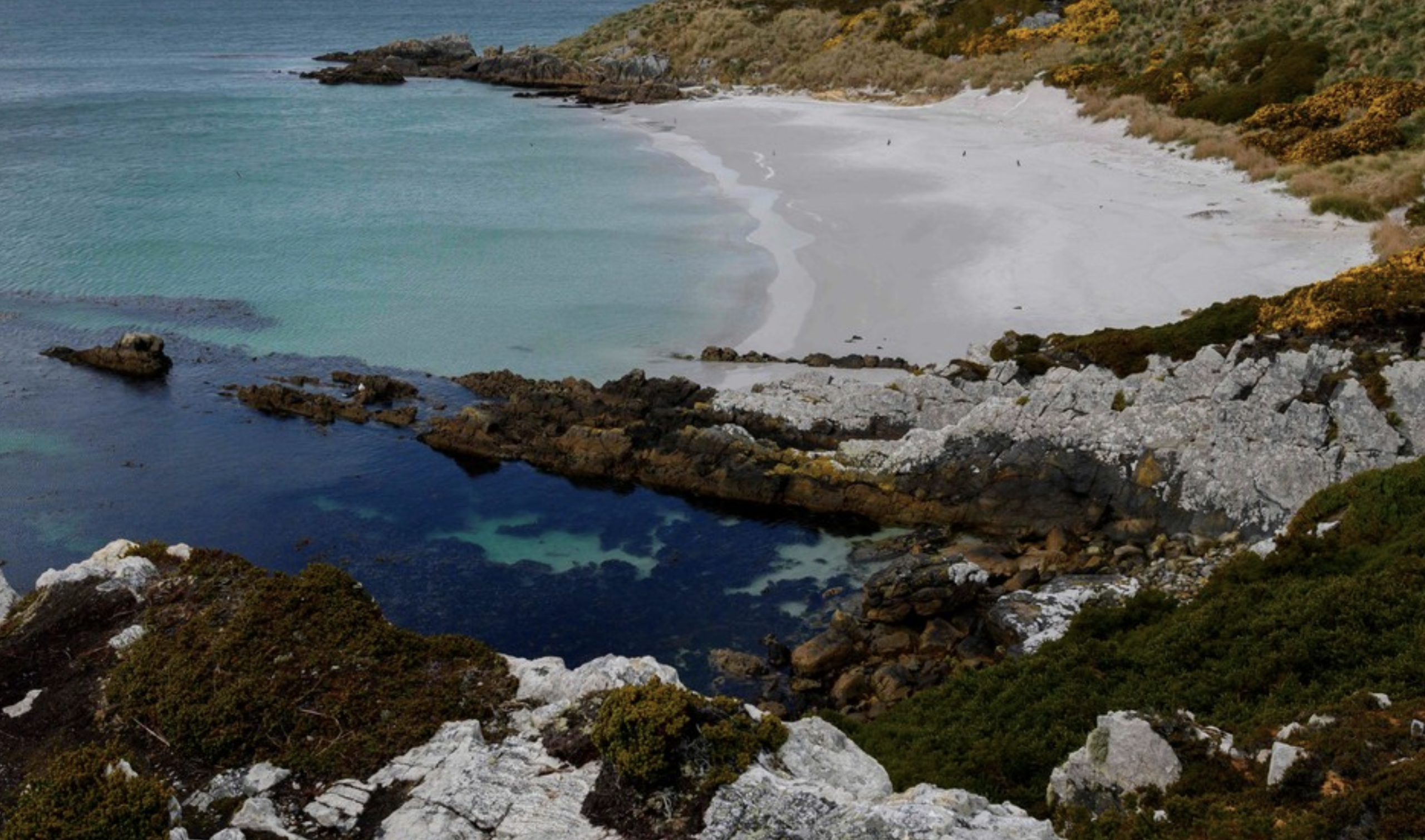 La poblaci贸n de Islas Malvinas eval煤a permitir salmonicultura a gran escala