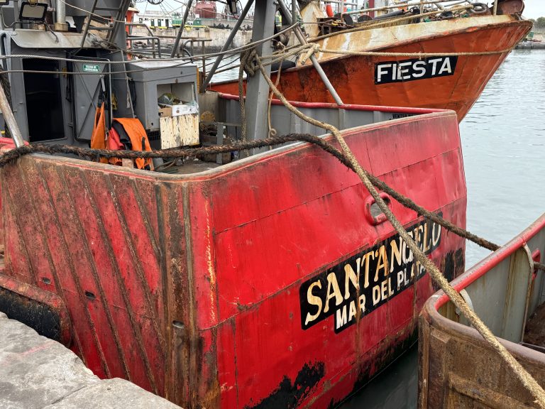 Aclaran que el descuento del 70% en el DUE rige para mareas descargadas a partir del 11 de abril