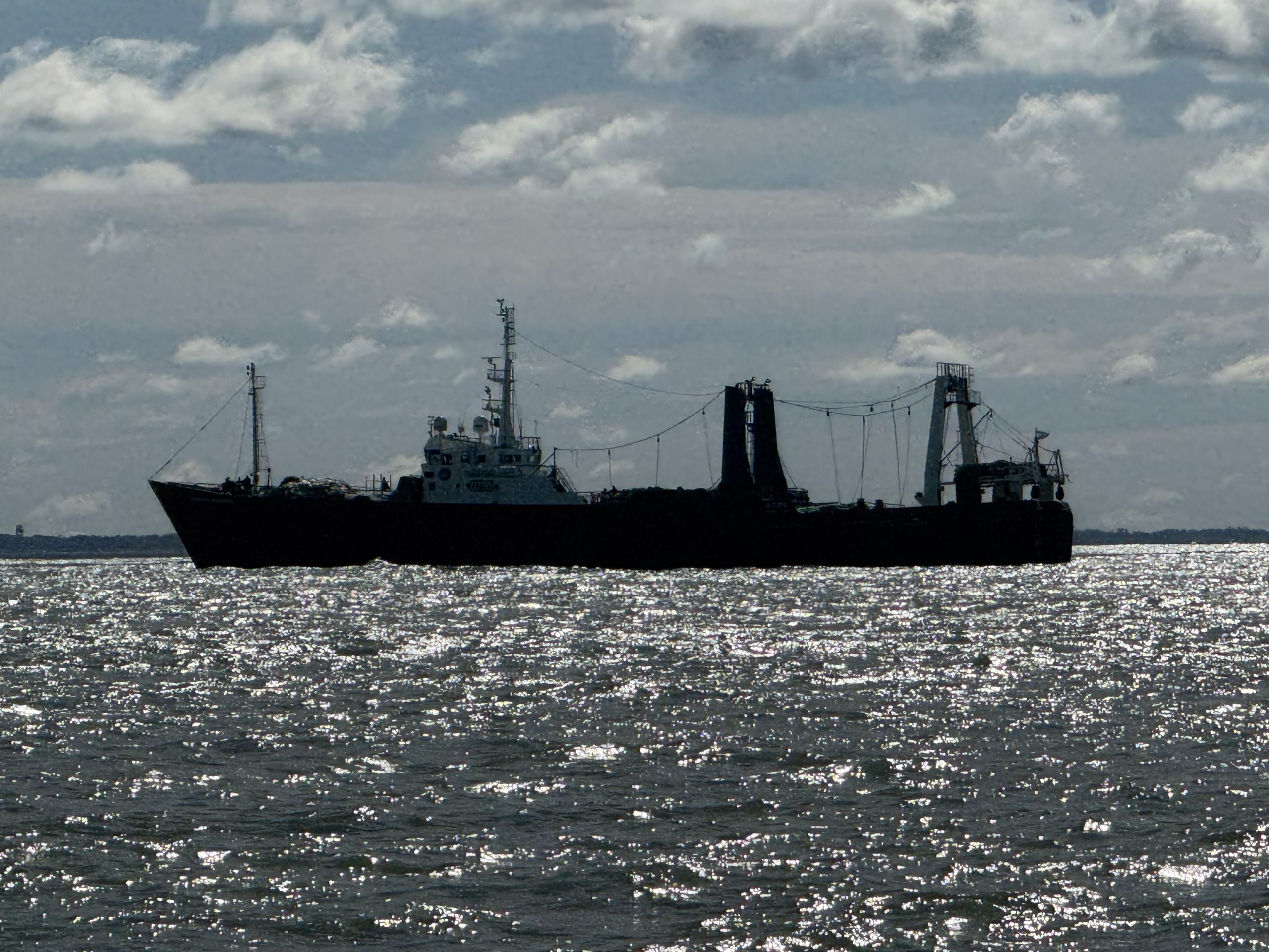 Evaluaci贸n del estado de la merluza com煤n: El CFP analiza propuestas de manejo y unificaci贸n normativa