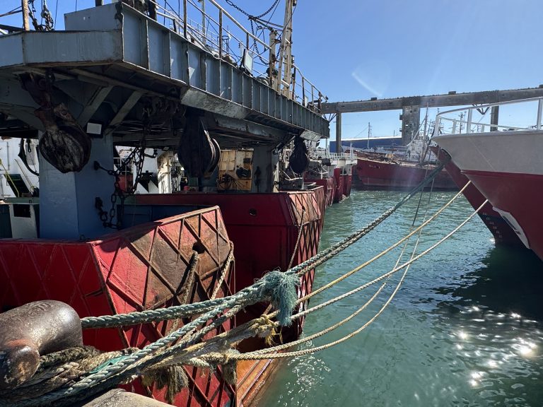 Consejo Federal Pesquero. Sesi贸n semanal, Acta Nro. 13/2025. Pedido de reordenamiento pesquero de langostino