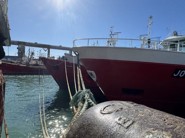 Autorizan prospecci贸n de langostino en ZVPJM: Inicia la temporada de langostino en aguas nacionales 2025