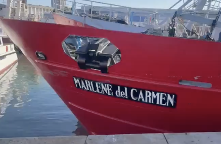 Rechazo de medida cautelar: El Juzgado Federal de Mar del Plata sienta precedente clave en conflicto por dotaci贸n m铆nima de explotaci贸n