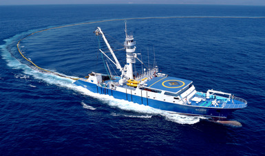 Día Mundial del Atún: Cómo se enfrenta el reto de conservar una de las especies más consumidas