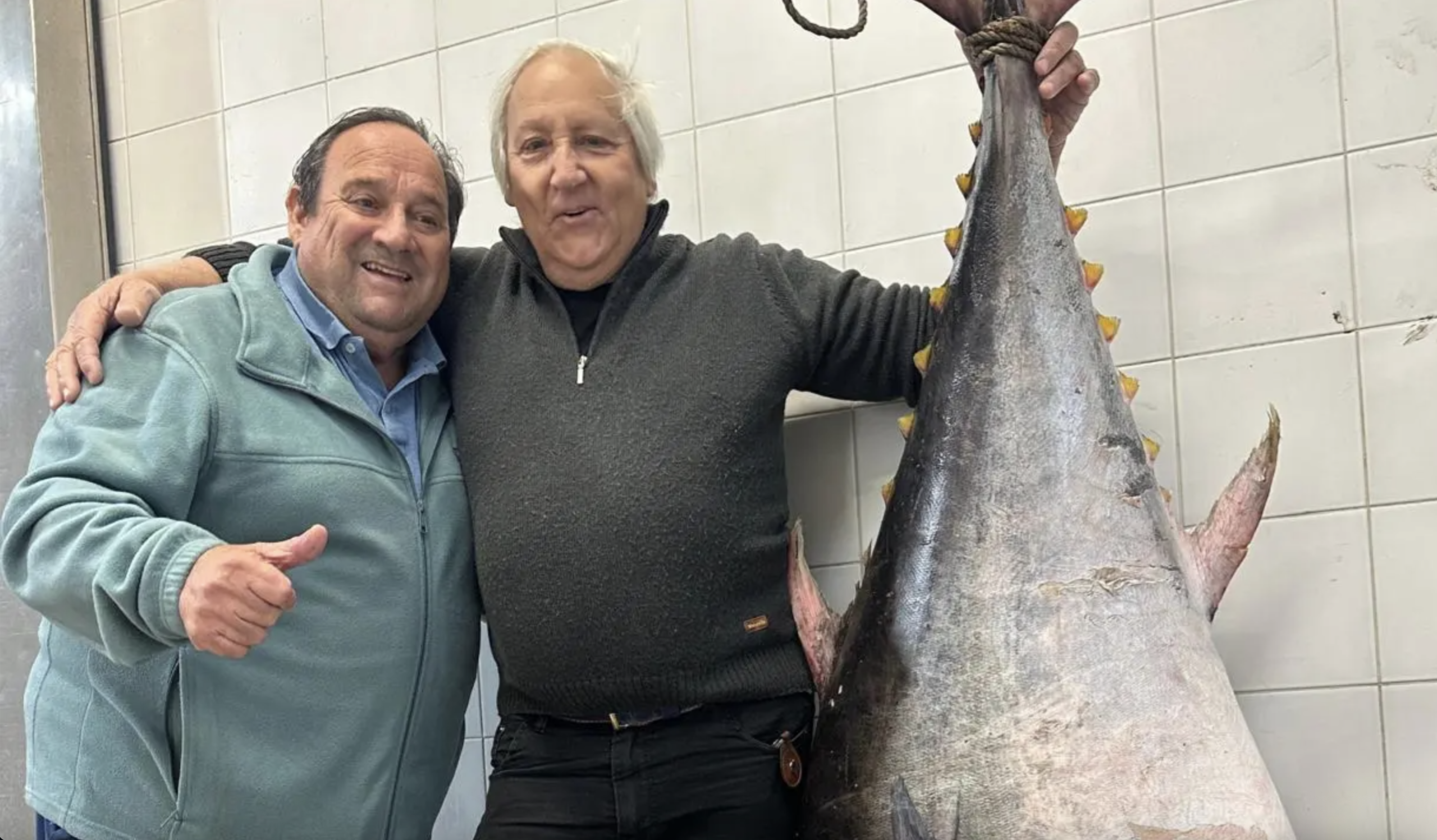 Riqueza del mar argentino: Capturan un imponente atún de aleta amarilla de 165 kilos