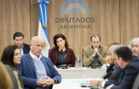 Preocupación por la crisis en la pesca: Referentes del sector expusieron en el Congreso