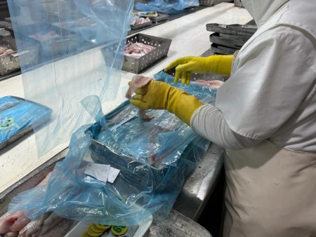 Crisis estructural en la industria pesquera de Mar del Plata: Cierres, caÃda de actividad y pérdida de empleos