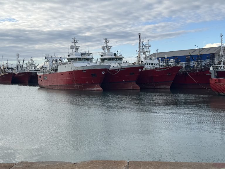 Tensi贸n y expectativas: Esta semana se definen dos audiencias clave para el futuro de la pesca del langostino