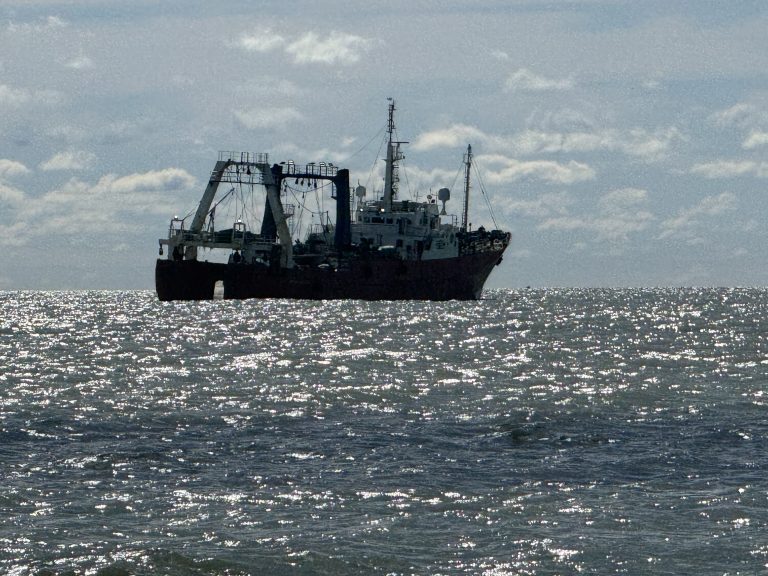 Informe FAO: El estado de la merluza, el calamar y el langostino en el Atl谩ntico Sudoccidental