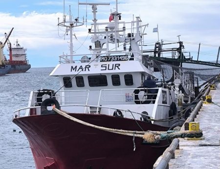 El Mar Sur complet贸 su s茅ptimo viaje y es el 煤nico congelador en actividad en plena crisis