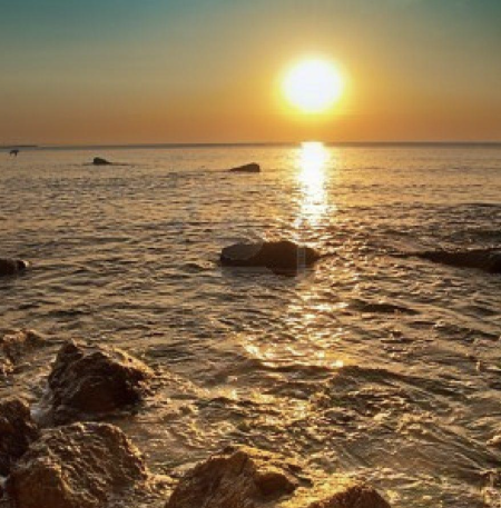 8 de junio, DÃa Mundial de los Océanos: Un llamado a cuidar el gran pulmón del planeta