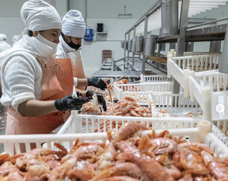 Empresa patag贸nica se niega a negociar paritaria y solicita laudo arbitral por conflicto salarial