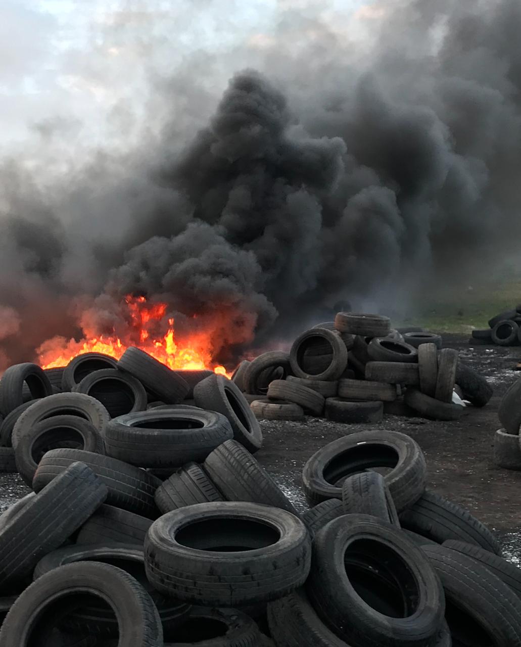 Reflexiones sobre la crisis pesquera y la descomposici贸n del acuerdo pol铆tico-productivo