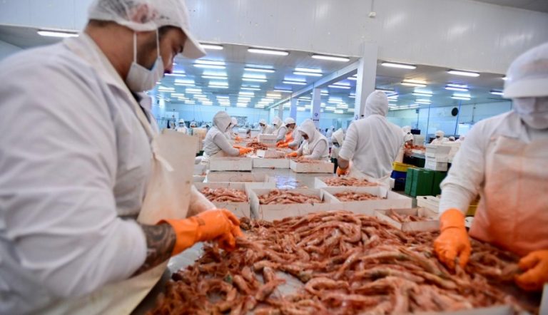 STIA Chubut resuelve iniciar paritaria 2025/2026