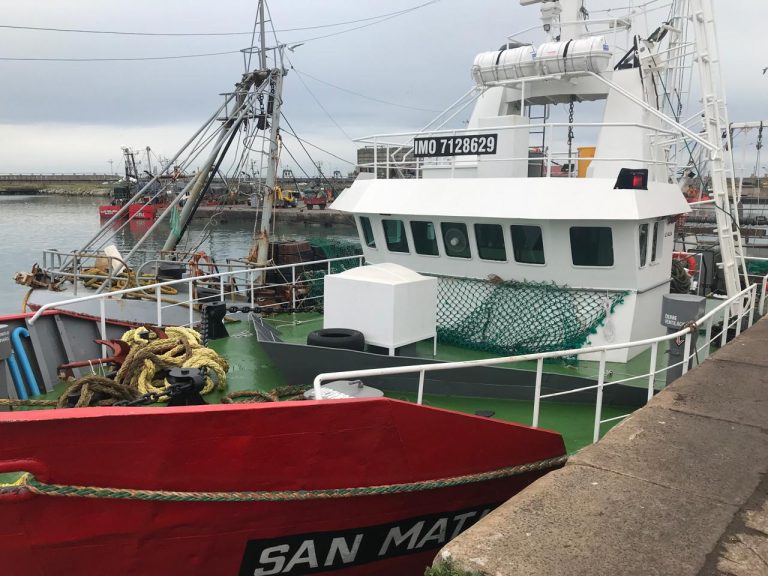 Se reanuda la prospección de langostino en aguas nacionales: El operativo se traslada a las subáreas 11 y 13