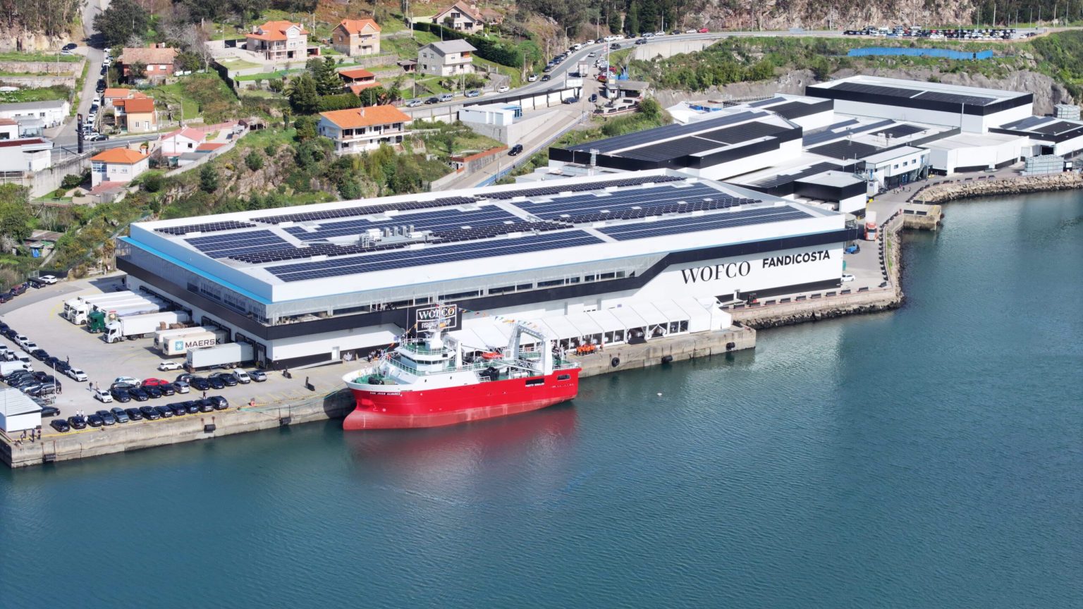 España. El músculo oculto de la industria pesquera: Reacomodamiento empresario, ganadores y perdedores