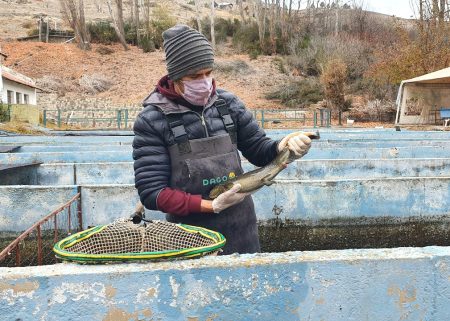 R铆o Negro potencia la acuicultura para generar valor y empleo en la regi贸n