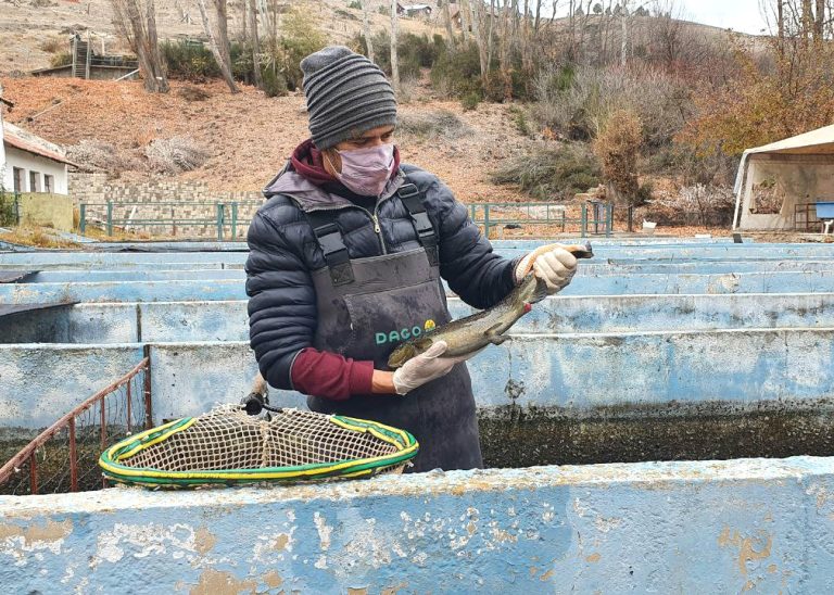 RÃo Negro potencia la acuicultura para generar valor y empleo en la región