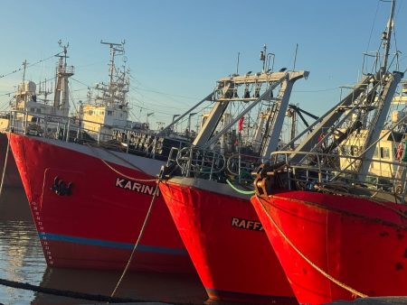 Panorama actual del conflicto pesquero: Paro, conciliaci贸n y audiencia