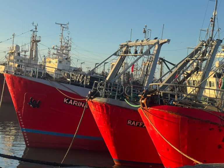 Panorama actual del conflicto pesquero: Paro, conciliaci贸n y audiencia