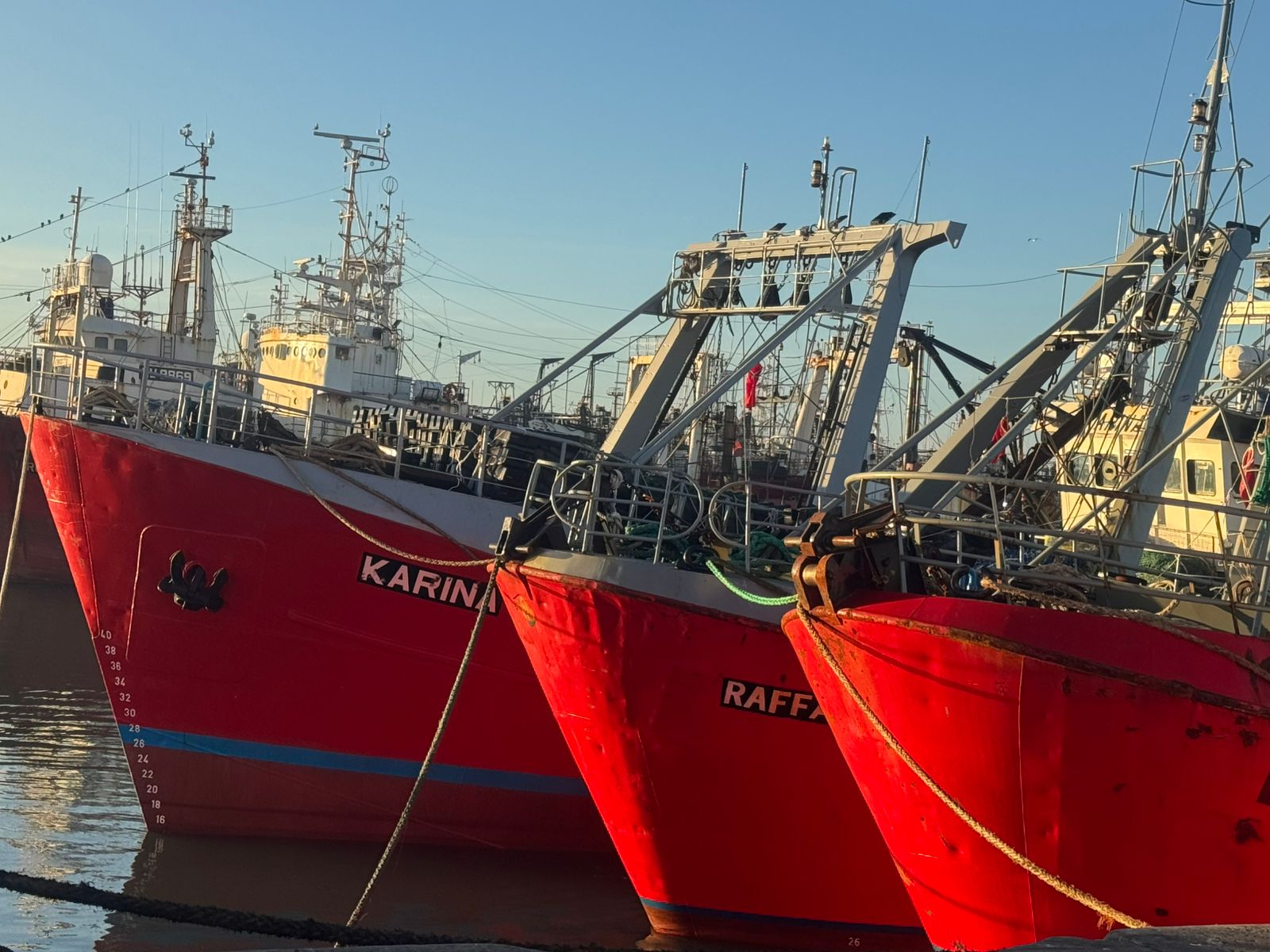 Panorama actual del conflicto pesquero: Paro, conciliación y audiencia