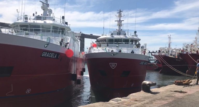 Resultado auspicioso en la Subárea 8 confirma apertura comercial. Habilitarán la prospección de la Subárea 14