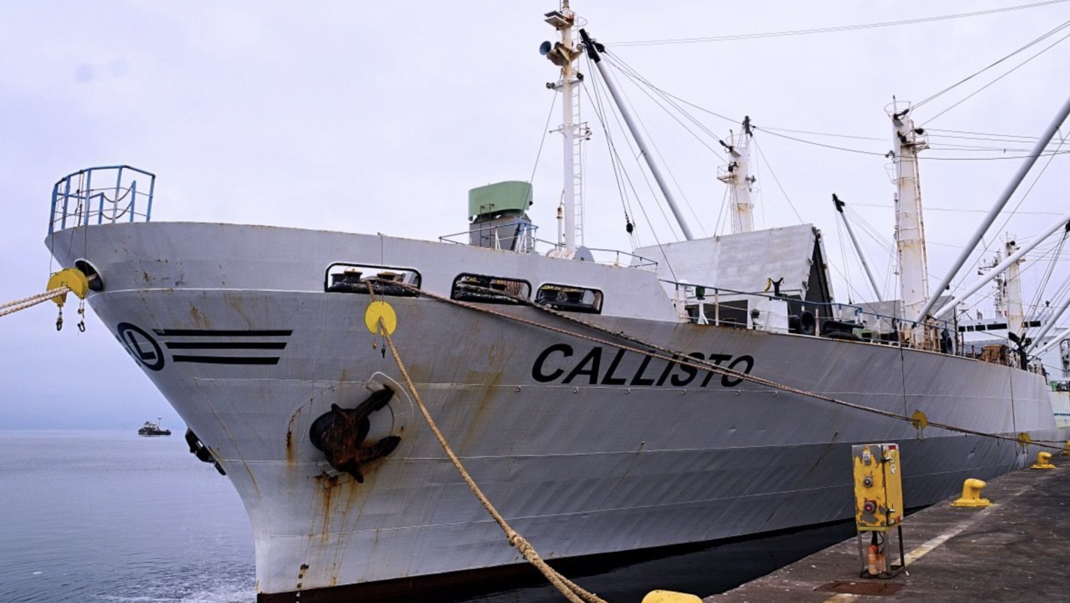 El puerto local diversifica destinos con el ingreso del buque de cargas refrigeradas Callisto