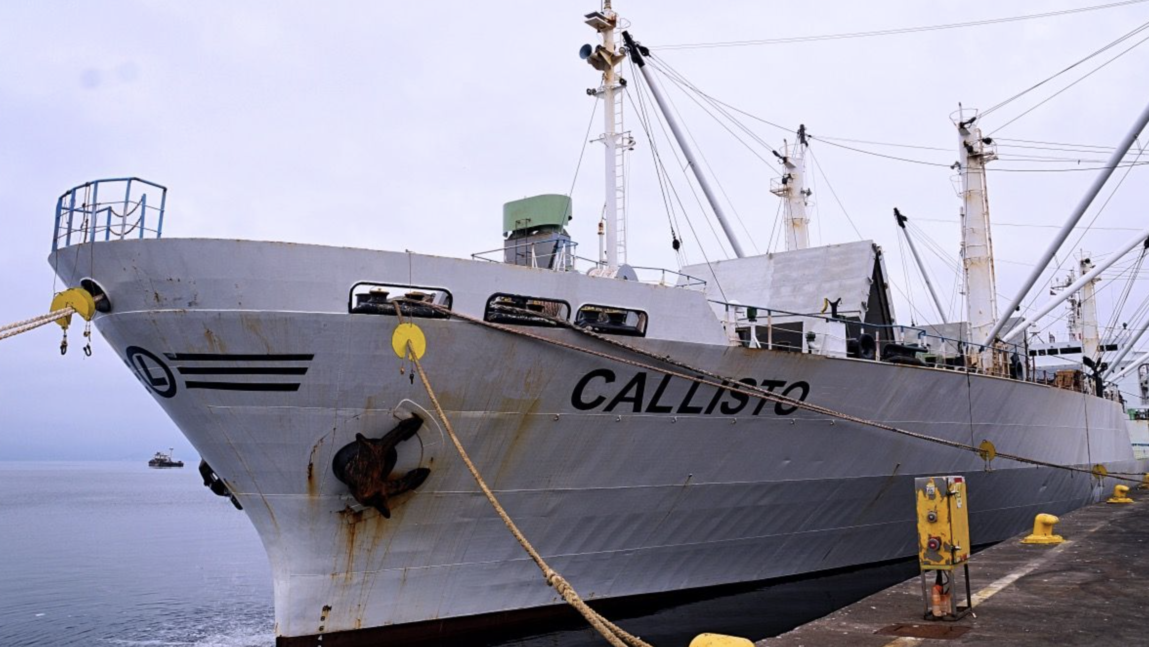 El puerto local diversifica destinos con el ingreso del buque de cargas refrigeradas Callisto