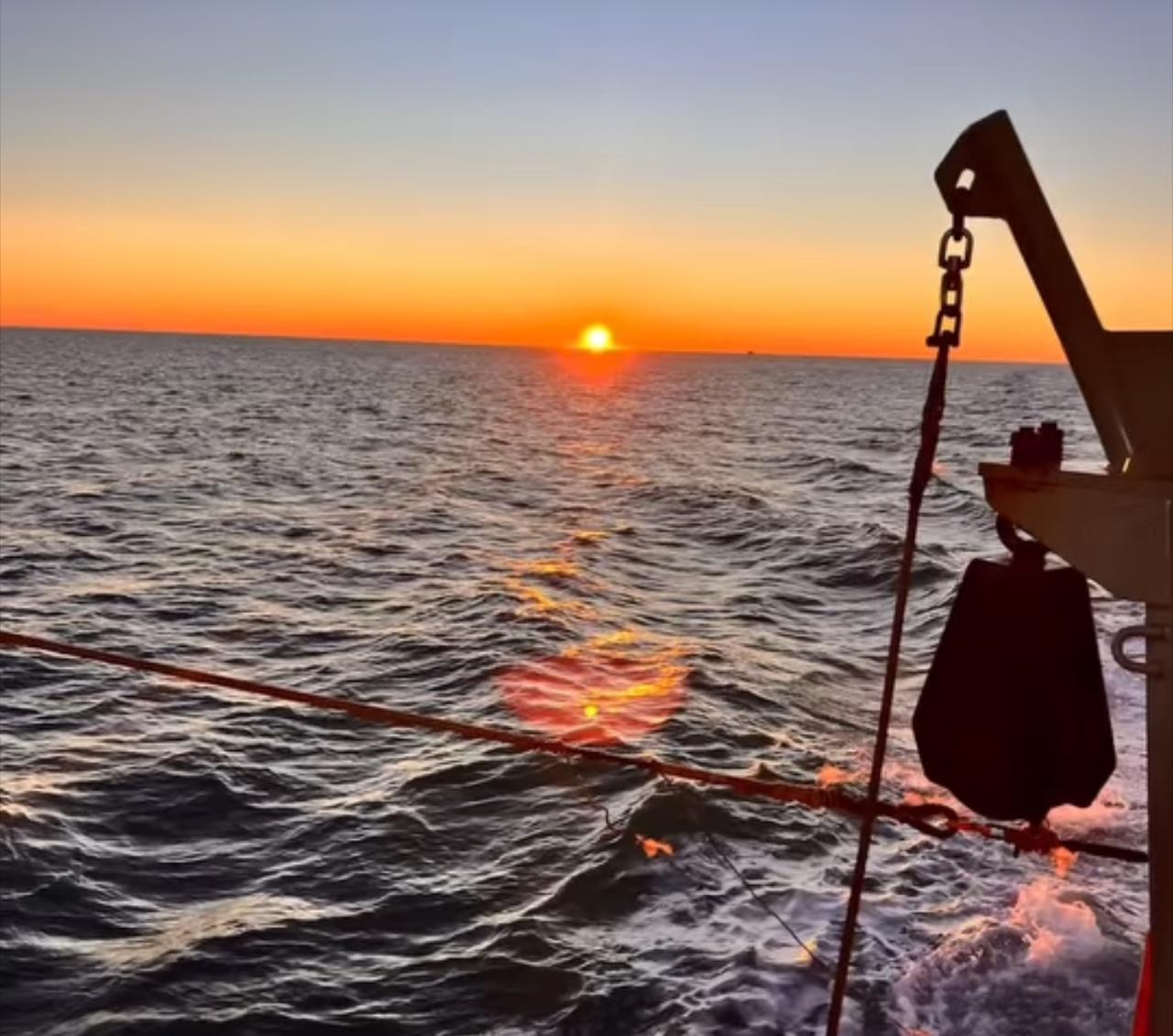 Avanza la temporada: Luz verde en la Subárea 8 y prospección en curso al sur