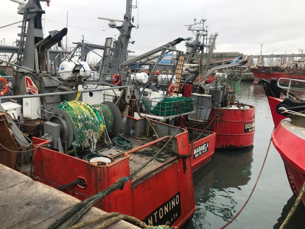 Consejo Federal Pesquero. Sesión semanal, Acta Nro. 21/2025. Langostino, prospectarán la subárea 8